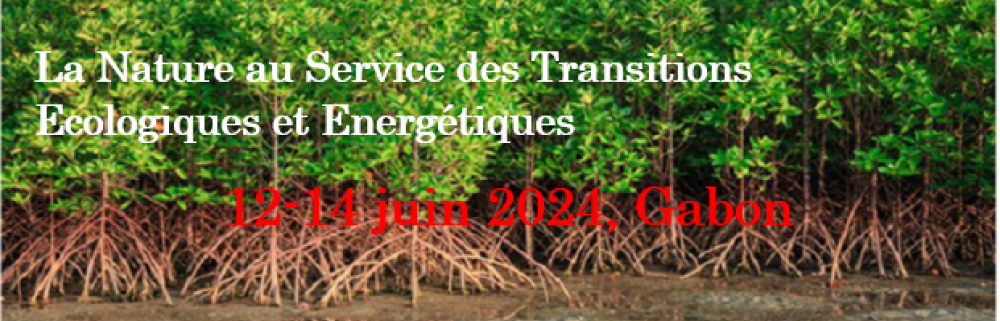 CEMA’2024 - 3ème Conférence des Eco-Matériaux en Afrique