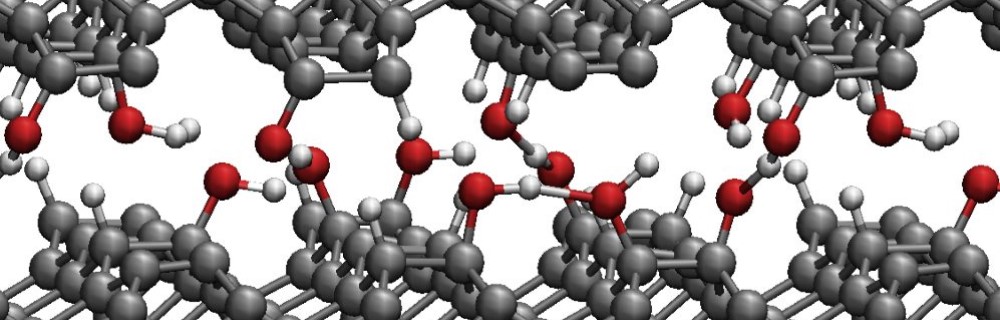 International Nanotribology Forum